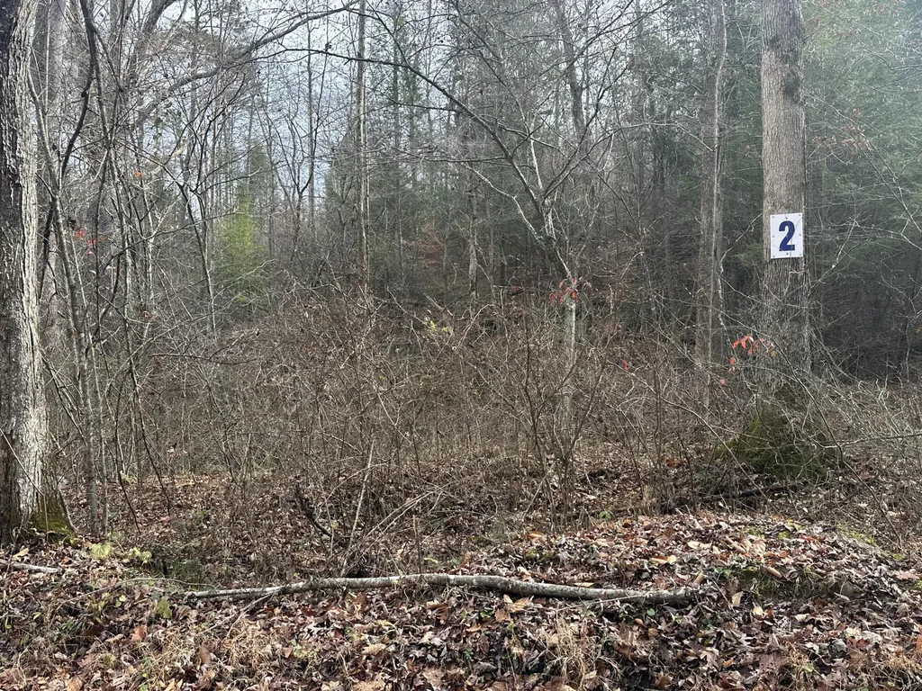 Lot 2 Radford Road East Bernstadt KY 40729