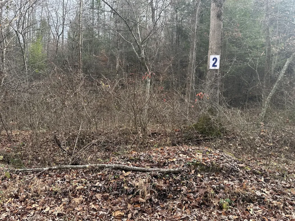 Lot 2 Radford Road East Bernstadt KY 40729