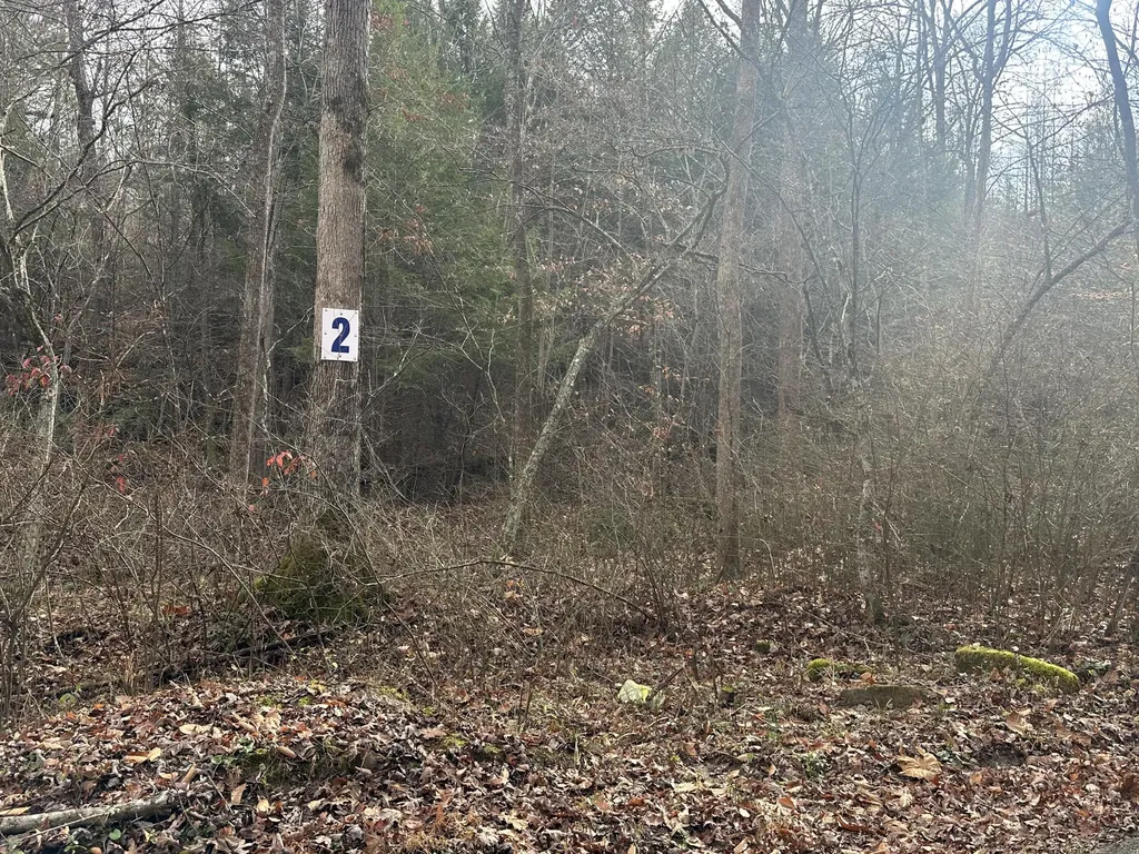 Lot 2 Radford Road East Bernstadt KY 40729