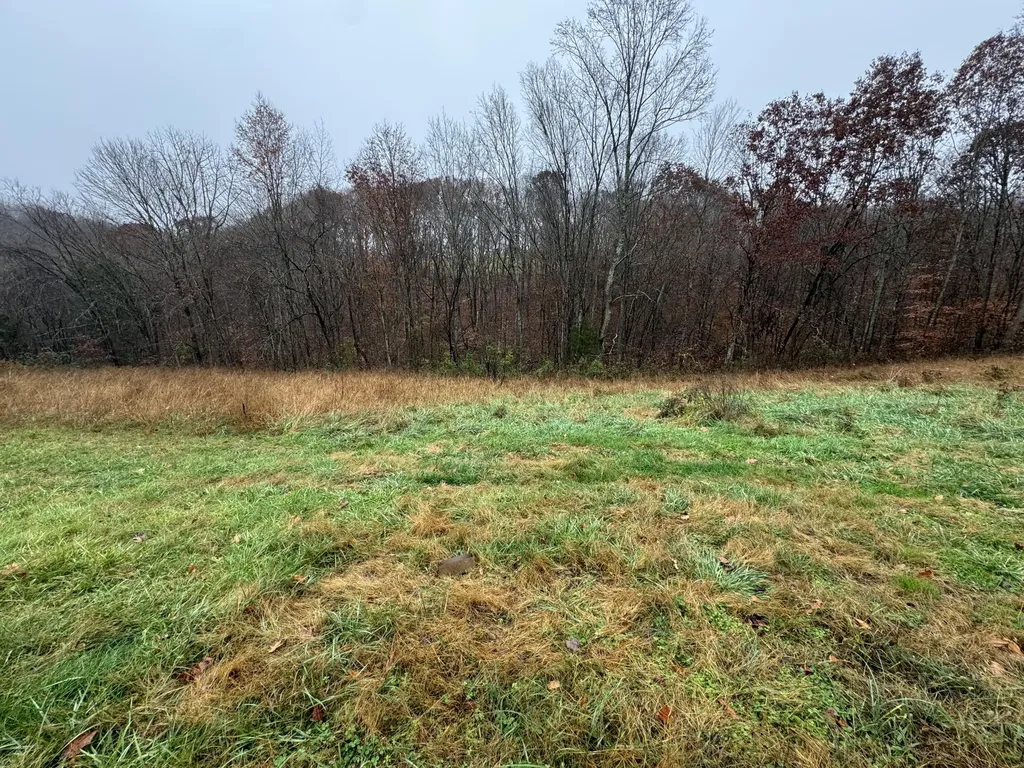 141 Allen Cemetery Road Knifley KY 42753