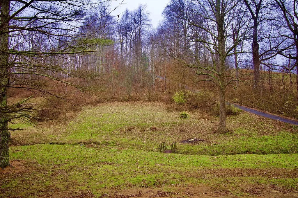 714 S Tree Tower Road Sand Gap KY 40481