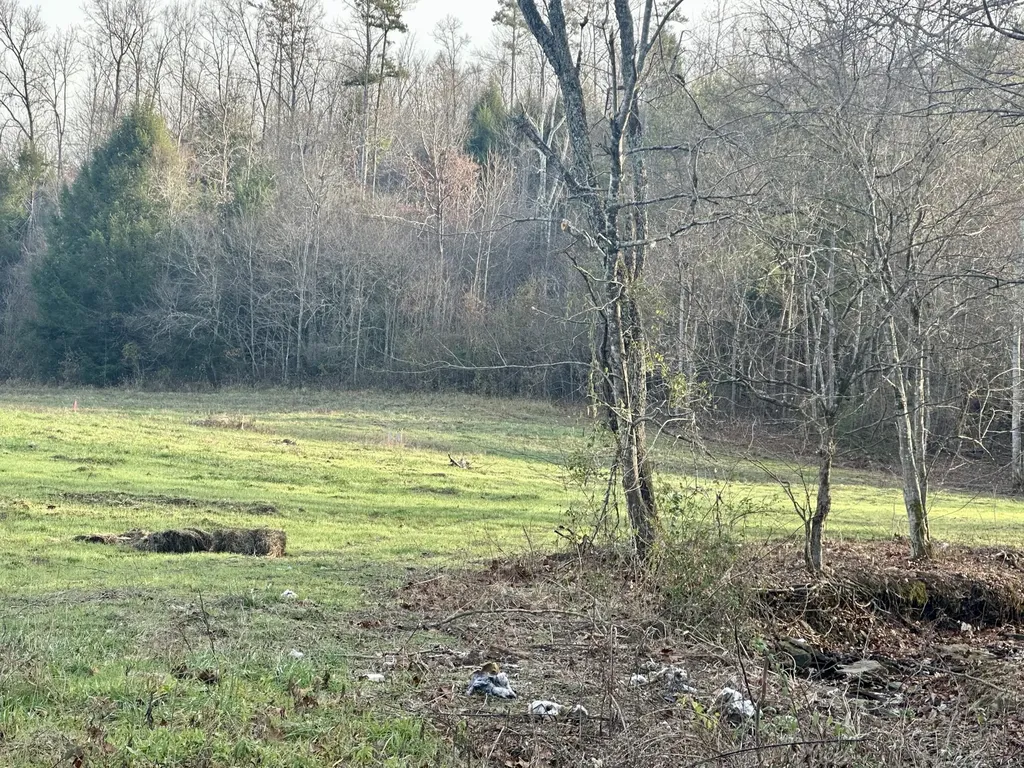 Lot 6 Hensley Road East Bernstadt KY 40729