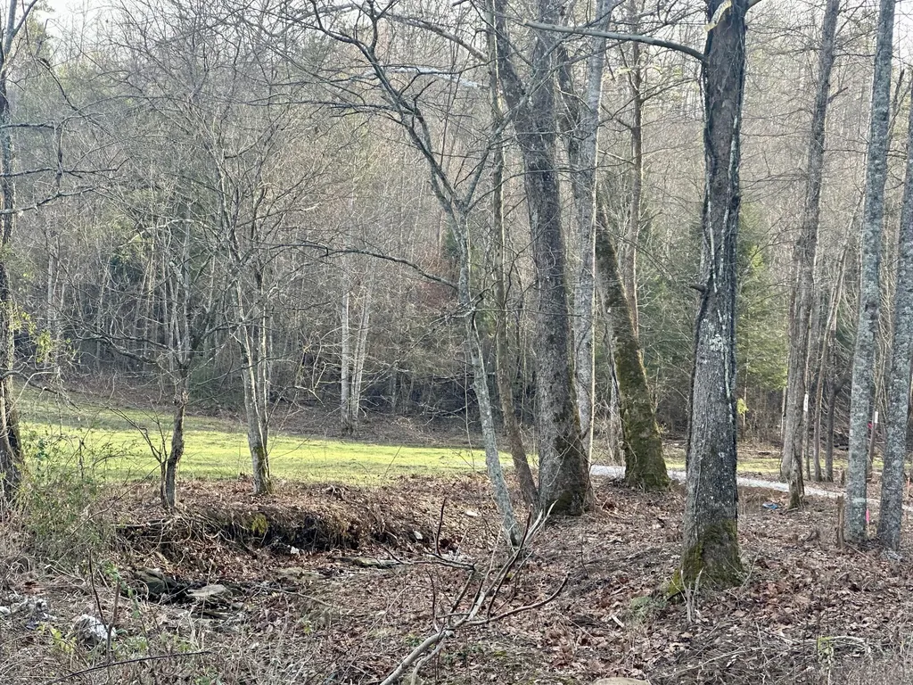 Lot 6 Hensley Road East Bernstadt KY 40729