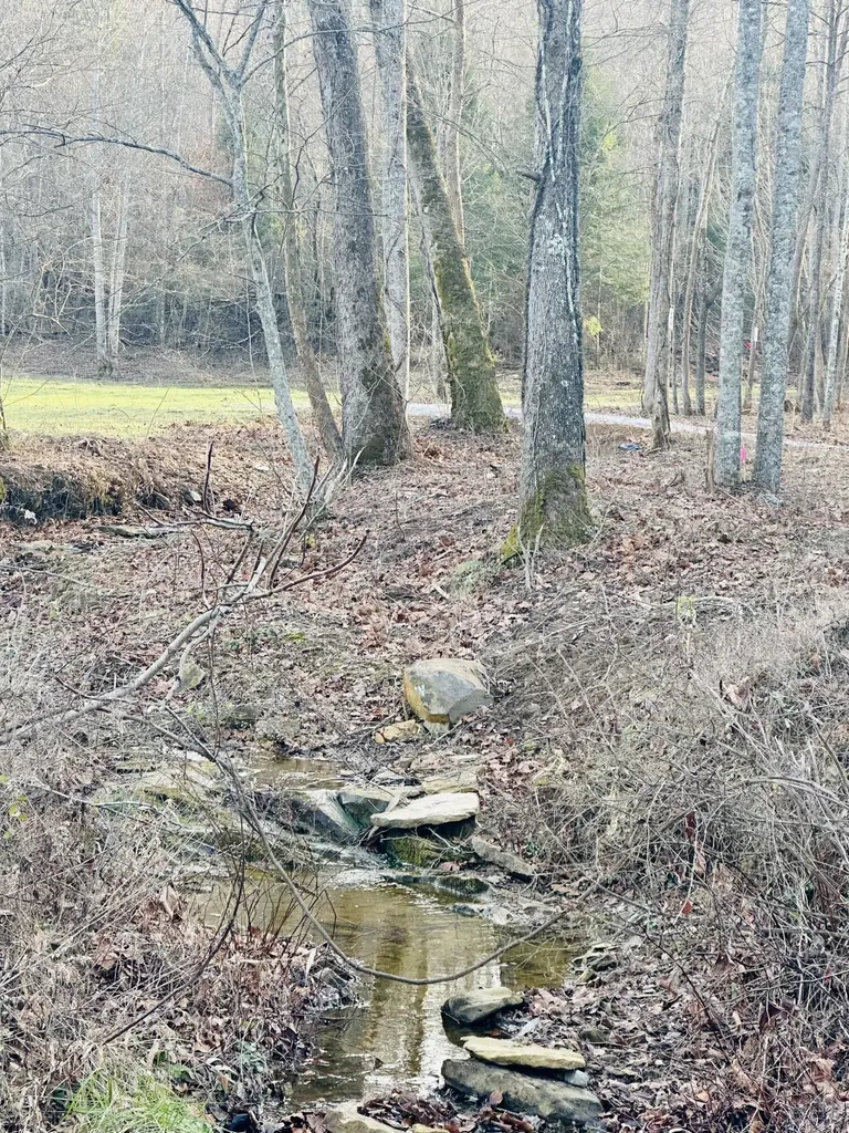 Lot 6 Hensley Road East Bernstadt KY 40729