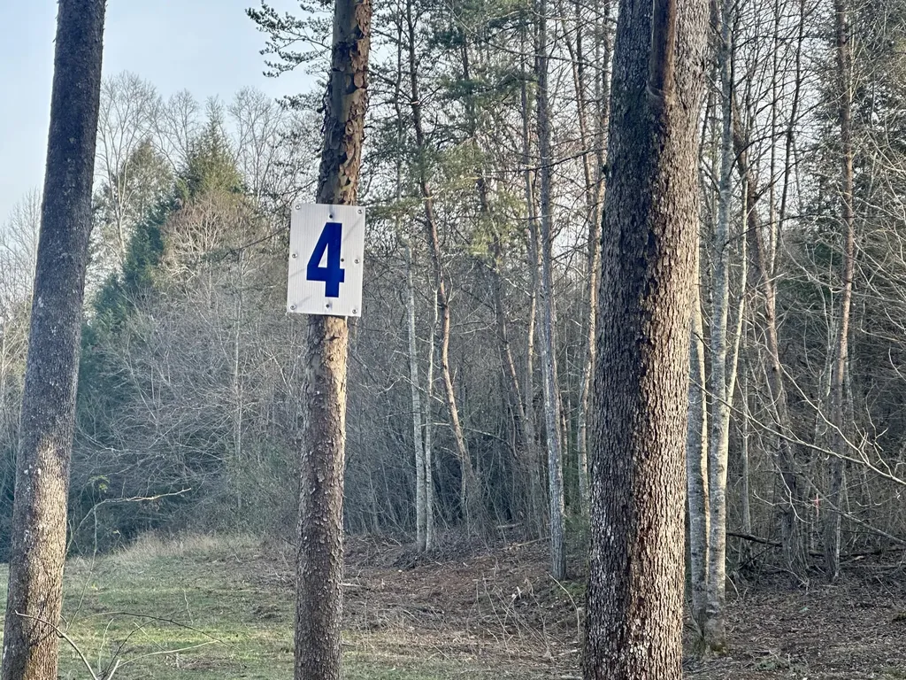 Lot 4 Radford Road East Bernstadt KY 40729
