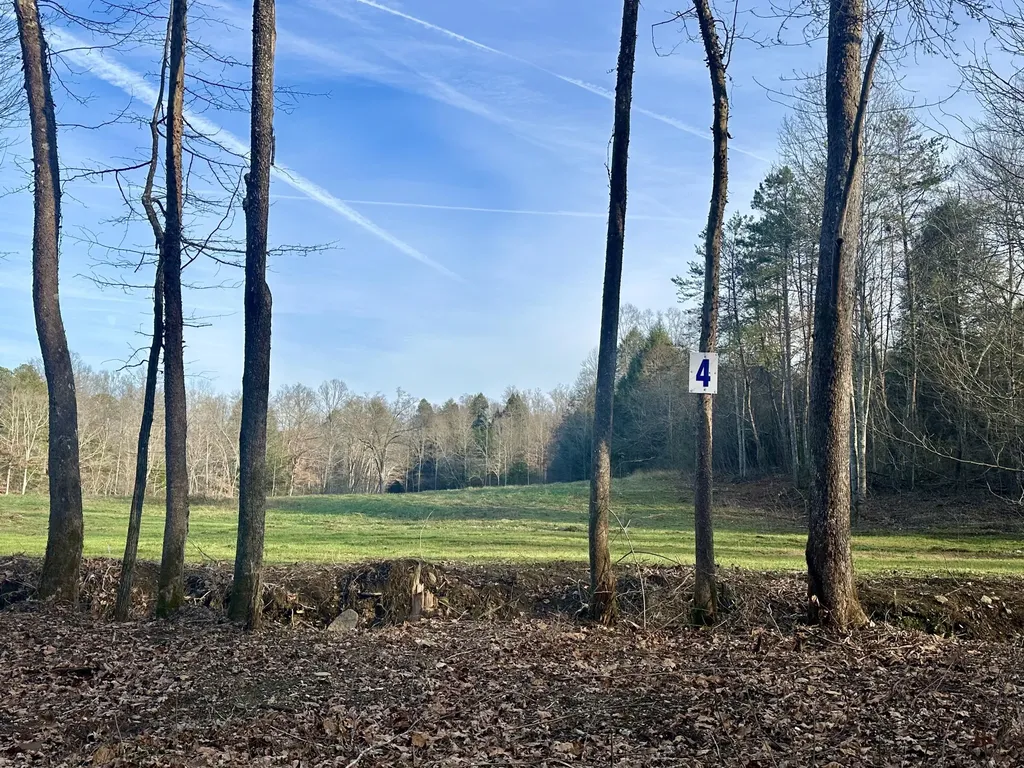 Lot 4 Radford Road East Bernstadt KY 40729