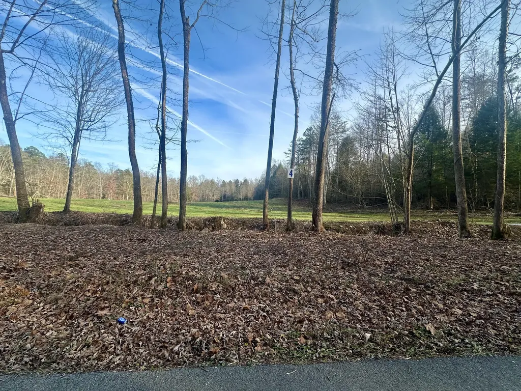Lot 4 Radford Road East Bernstadt KY 40729