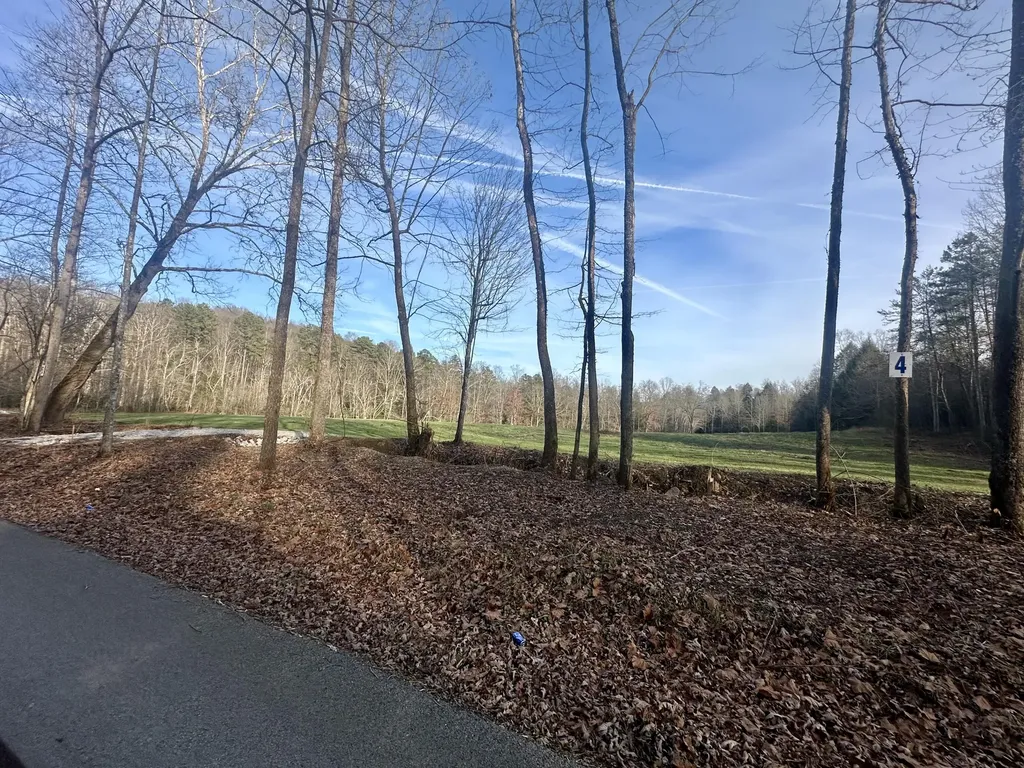 Lot 4 Radford Road East Bernstadt KY 40729