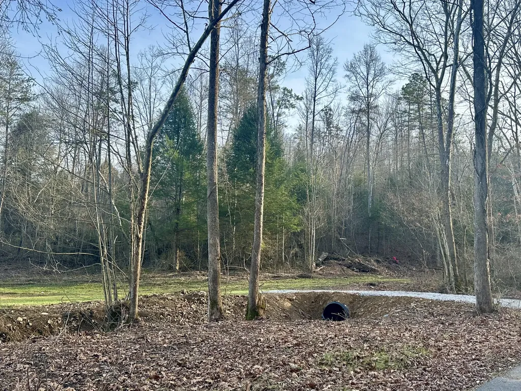 Lot 4 Radford Road East Bernstadt KY 40729