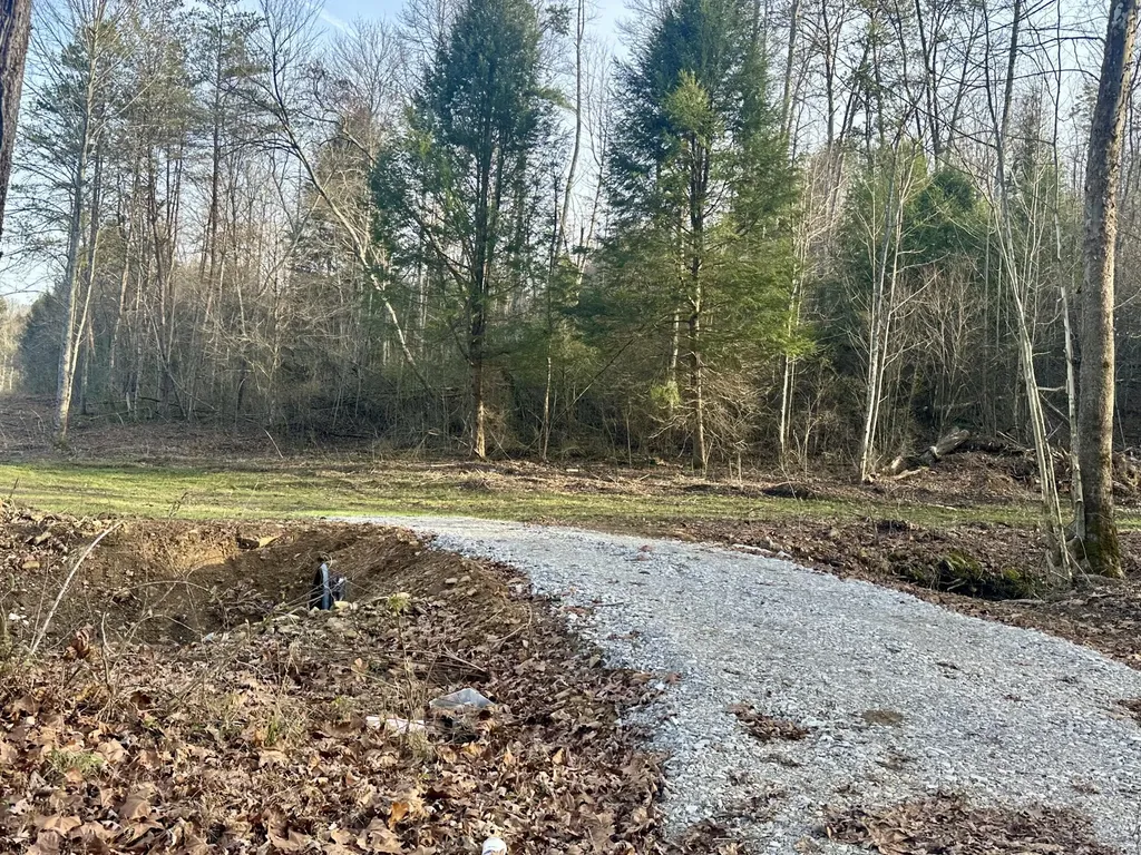 Lot 4 Radford Road East Bernstadt KY 40729