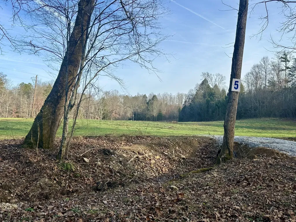 Lot 5 Radford Road East Bernstadt KY 40729