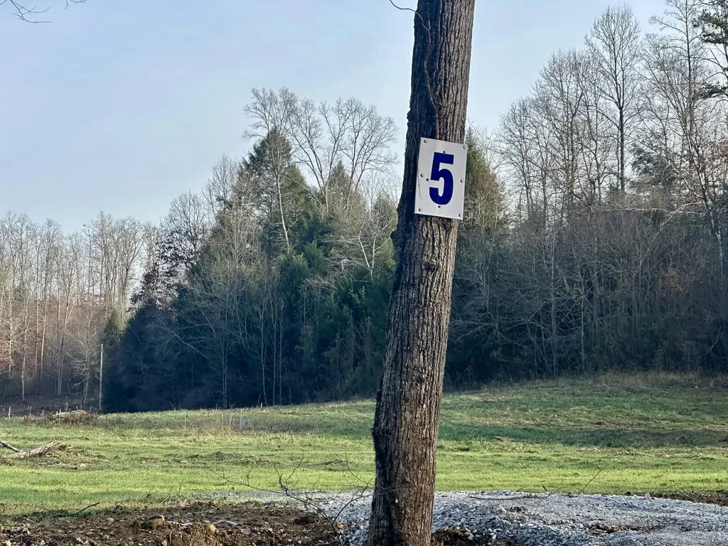 Lot 5 Radford Road East Bernstadt KY 40729