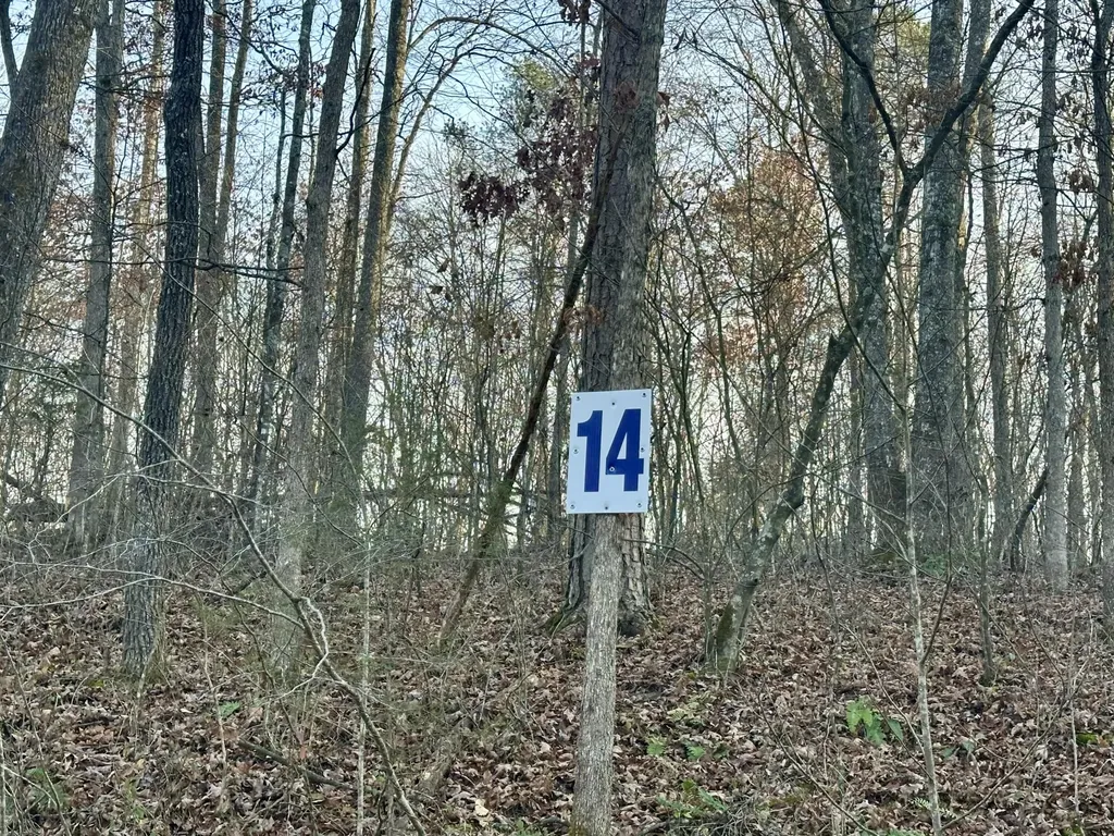 Lot 14 Hensley Road East Bernstadt KY 40729