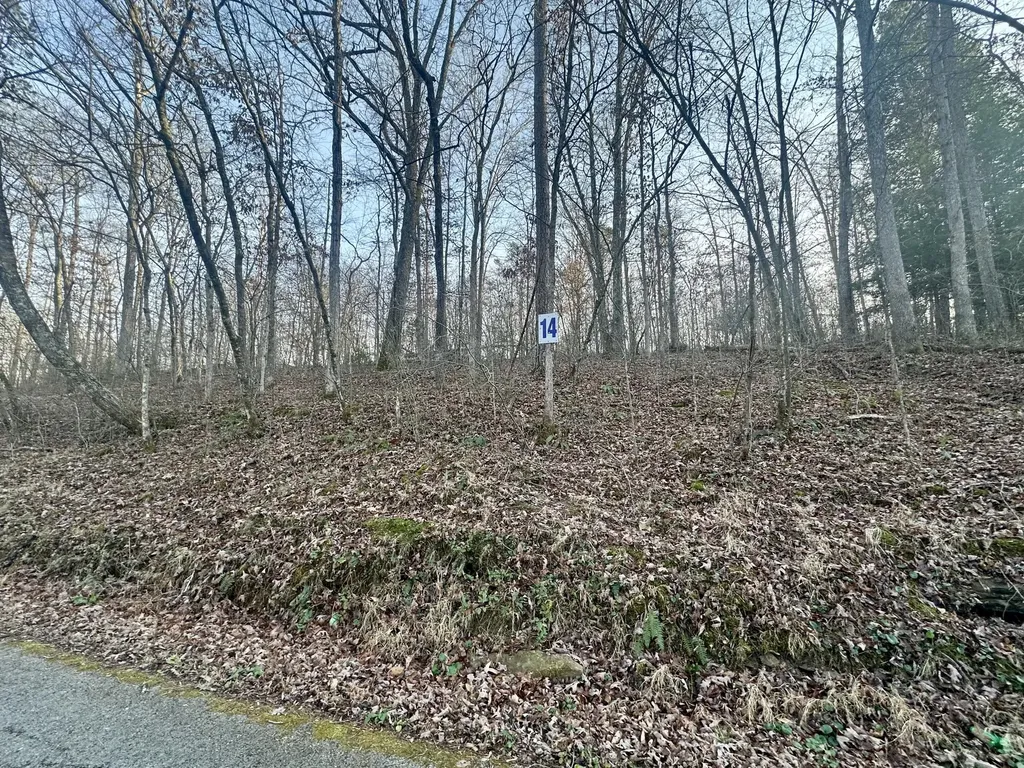 Lot 14 Hensley Road East Bernstadt KY 40729