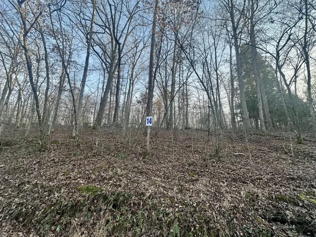 Lot 14 Hensley Road East Bernstadt KY 40729