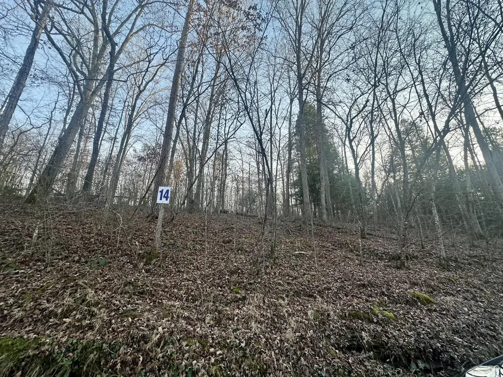 Lot 14 Hensley Road East Bernstadt KY 40729