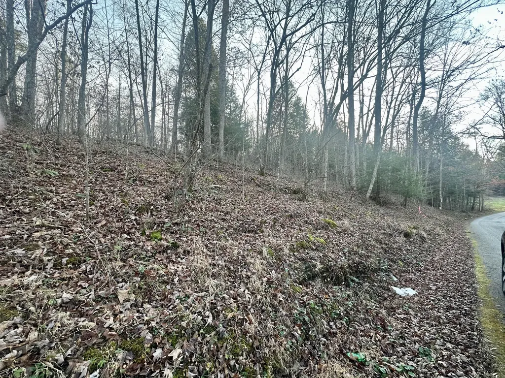 Lot 14 Hensley Road East Bernstadt KY 40729