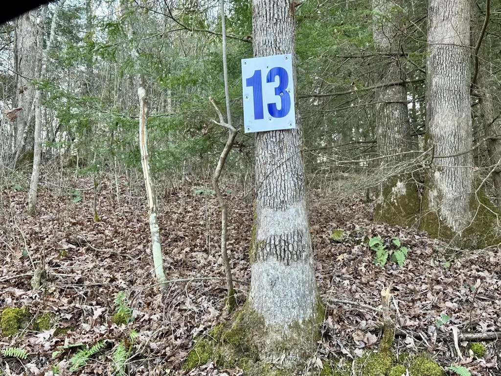 Lot 13 Hensley Road East Bernstadt KY 40729