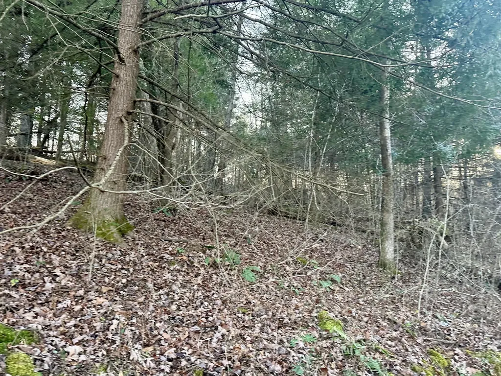 Lot 13 Hensley Road East Bernstadt KY 40729