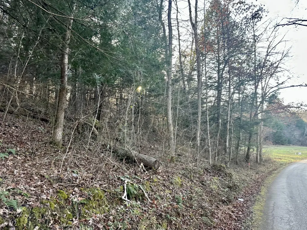 Lot 13 Hensley Road East Bernstadt KY 40729
