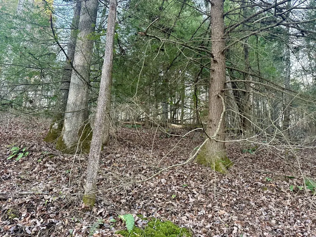 Lot 13 Hensley Road East Bernstadt KY 40729