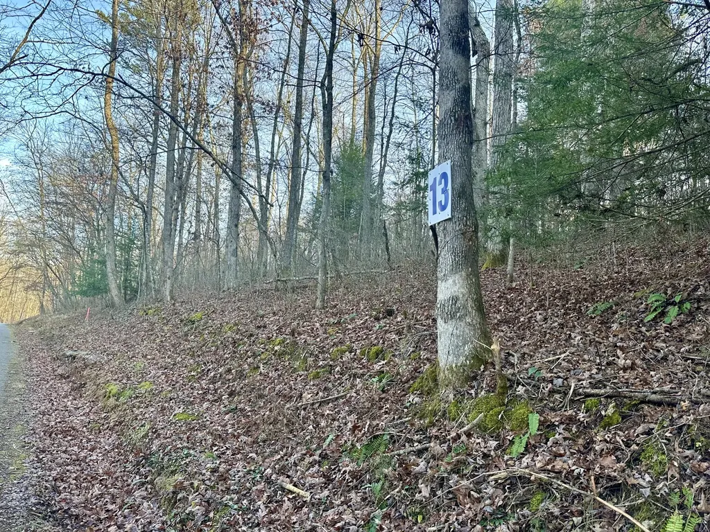 Lot 13 Hensley Road East Bernstadt KY 40729
