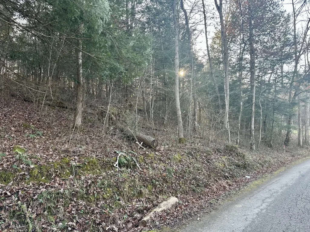 Lot 13 Hensley Road East Bernstadt KY 40729