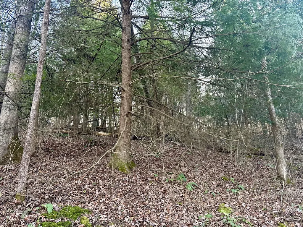 Lot 13 Hensley Road East Bernstadt KY 40729