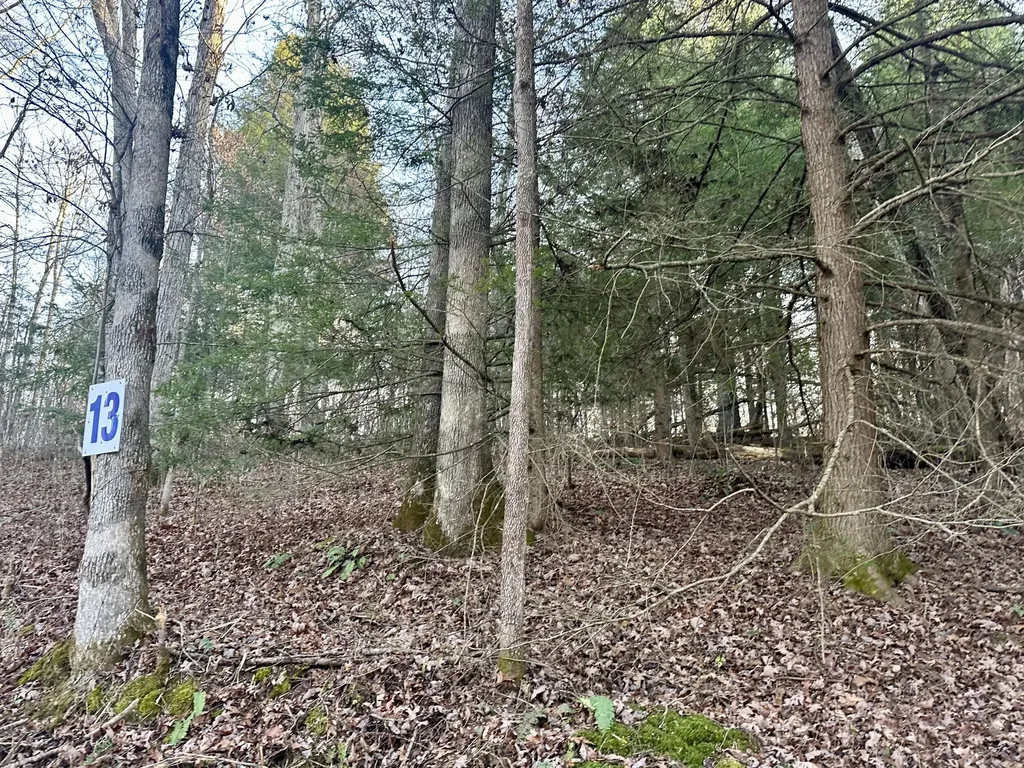 Lot 13 Hensley Road East Bernstadt KY 40729