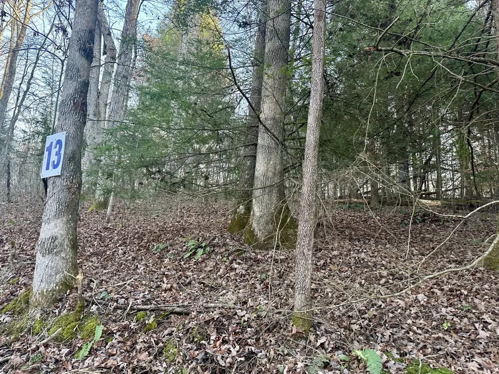 Lot 13 Hensley Road East Bernstadt KY 40729
