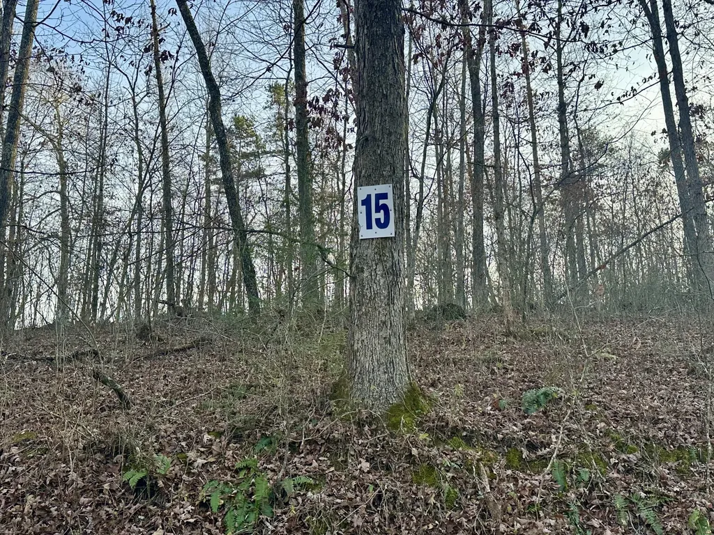 Lot 15 Hensley Road East Bernstadt KY 40729