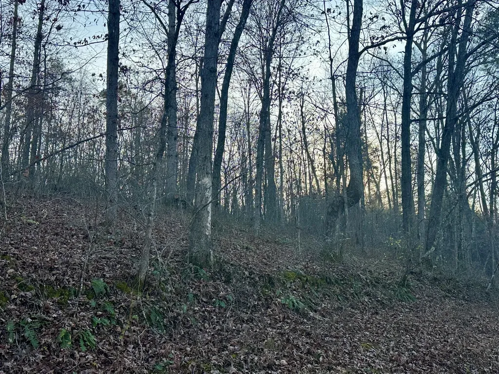 Lot 15 Hensley Road East Bernstadt KY 40729