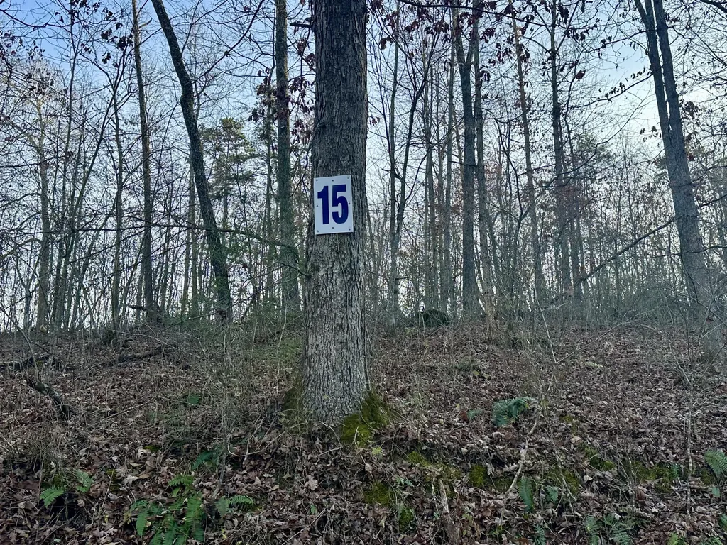Lot 15 Hensley Road East Bernstadt KY 40729