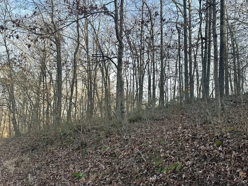 Lot 15 Hensley Road East Bernstadt KY 40729