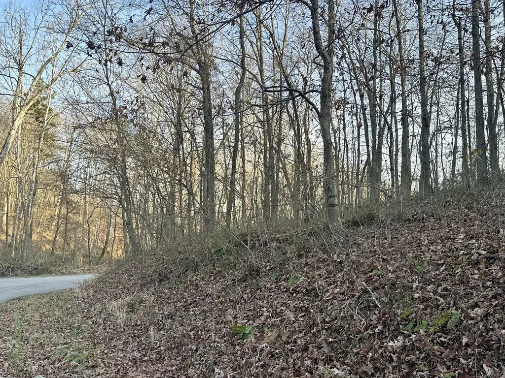 Lot 15 Hensley Road East Bernstadt KY 40729