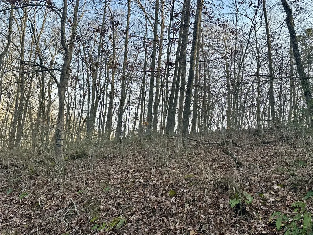 Lot 15 Hensley Road East Bernstadt KY 40729
