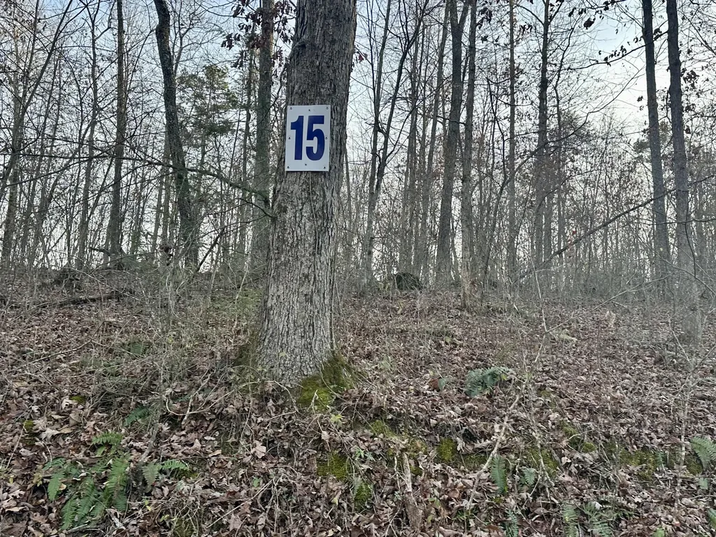 Lot 15 Hensley Road East Bernstadt KY 40729