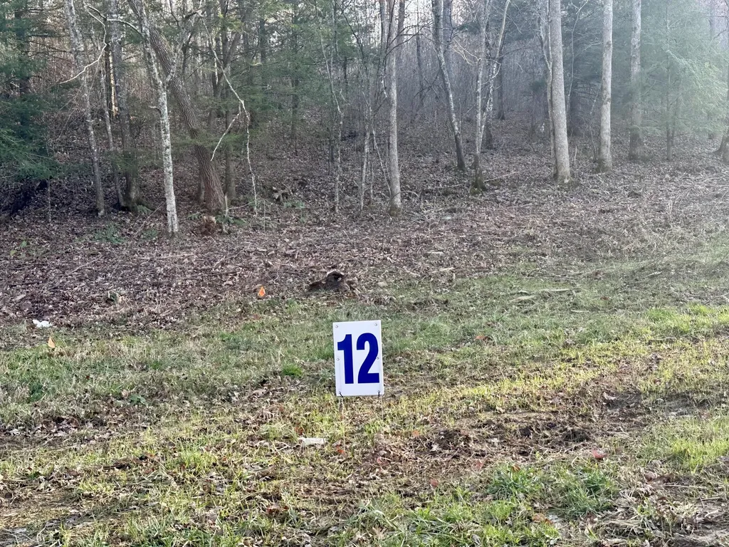 Lot 12 Hensley Road East Bernstadt KY 40729