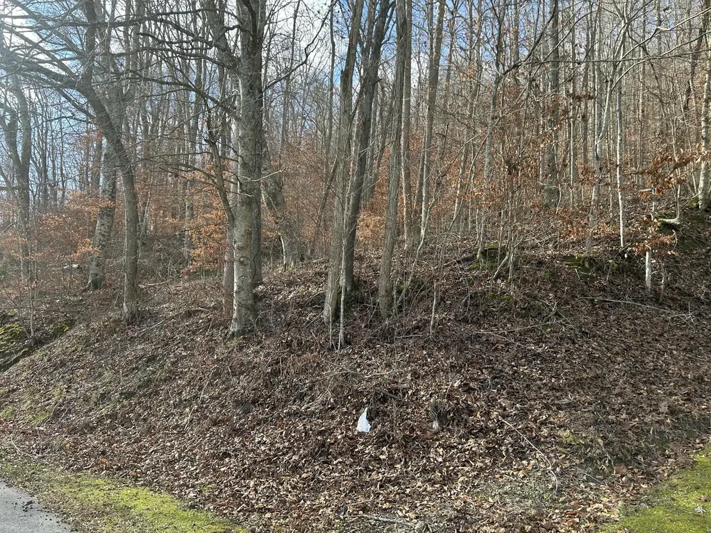 Tbd North Fork Road Stanton KY 40380