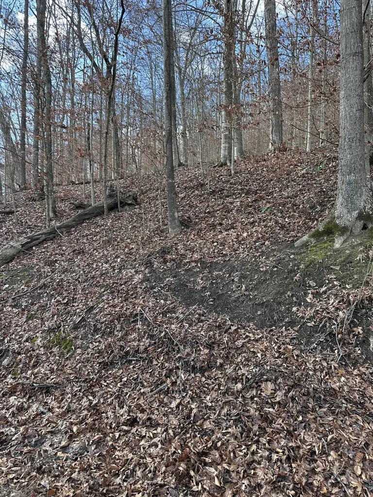 Tbd North Fork Road Stanton KY 40380