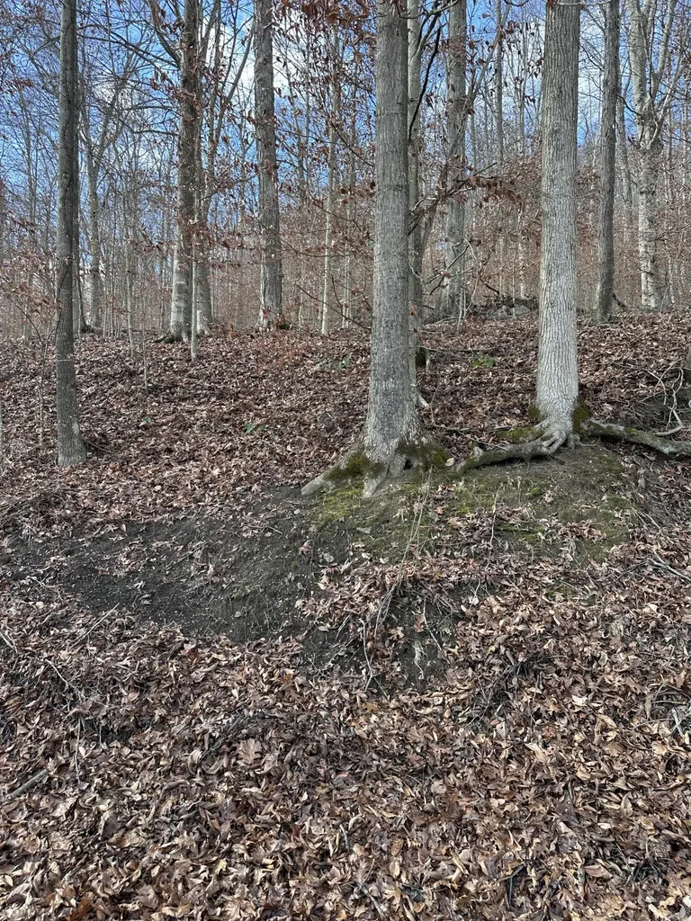 Tbd North Fork Road Stanton KY 40380
