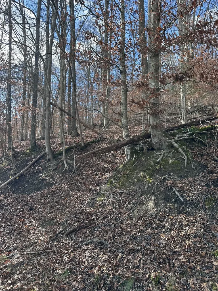 Tbd North Fork Road Stanton KY 40380