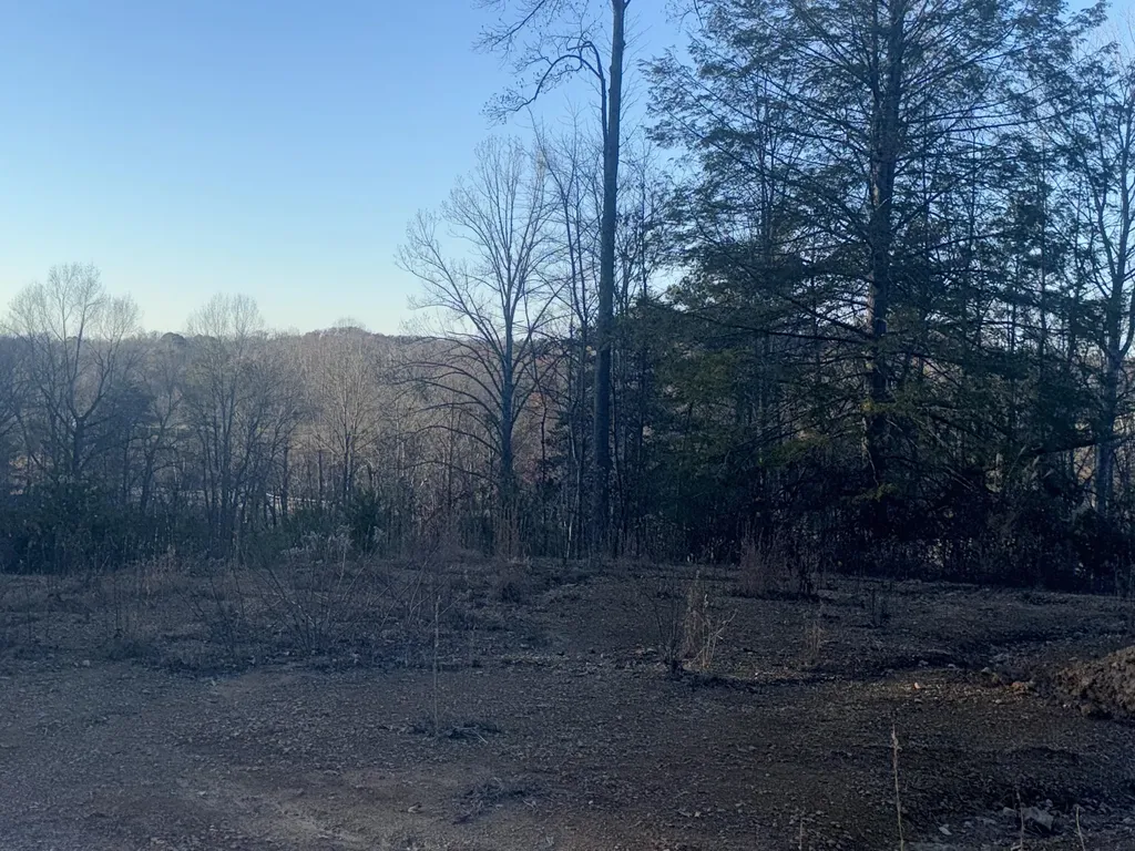 3515 Key 1232 Gray KY 40734