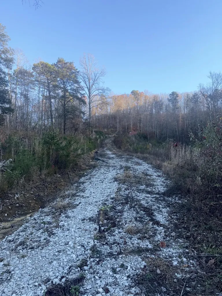 3515 Key 1232 Gray KY 40734