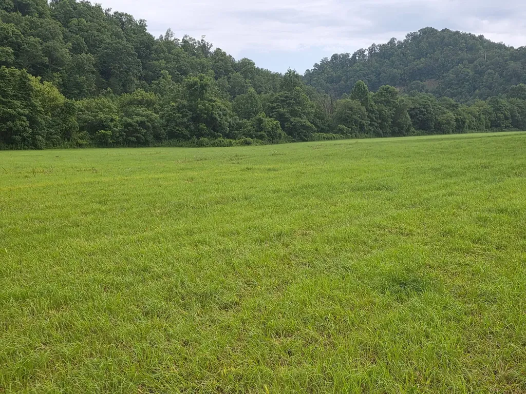 535 Ashana Road Jackson KY 41339