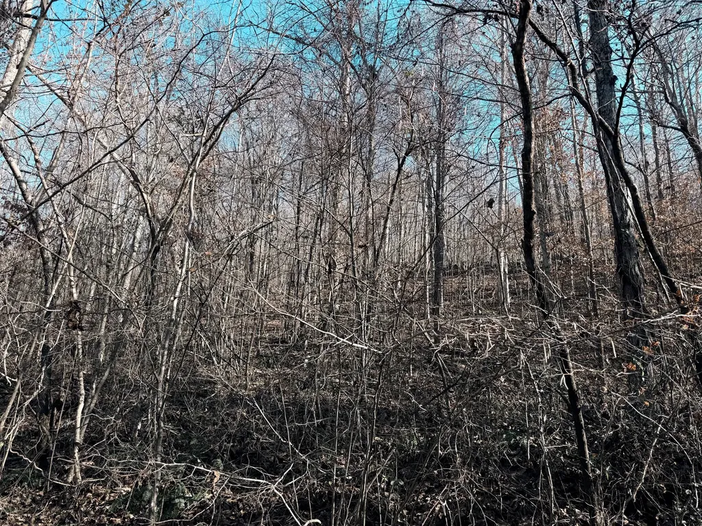 198 Dan Dishman Road Monticello KY 42633