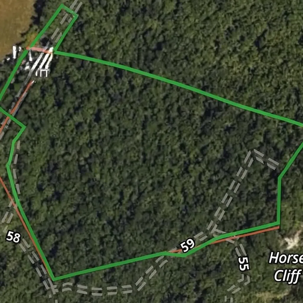 198 Dan Dishman Road Monticello KY 42633