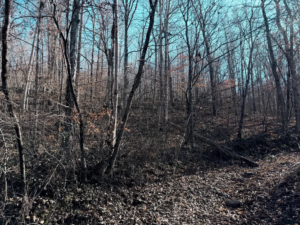 198 Dan Dishman Road Monticello KY 42633