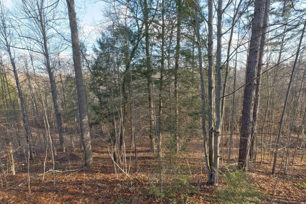 214 Lindsey Lane Wellington KY 40387