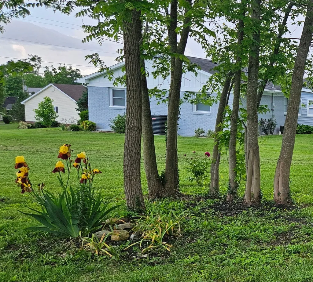 148 Leaf Lane Somerset KY 42503